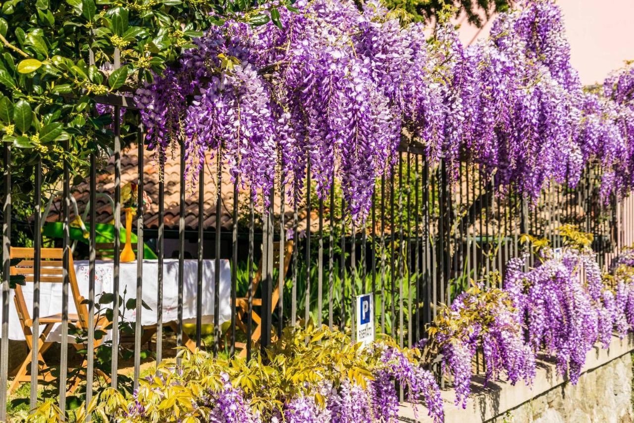 B&B Il Glicine Molare Cremolino Exterior photo